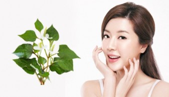 Cách trị mụn trứng cá không bị thâm bằng rau Diếp cá